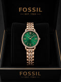 Fossil carlie