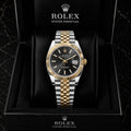 Rolex datejust 41