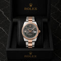 Rolex datejust 41